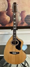 Westbury 12 String W5020