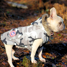 Designer Dog Coat Canada