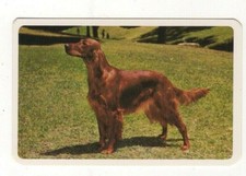 Named Pedigree Dog Swap Card