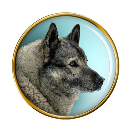 Norwegian elkhound dog - norwegian, lapel