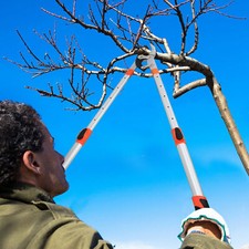 Professional Long Handle Loppers Ratchet Tree Branch Gardening Pruner Cutter