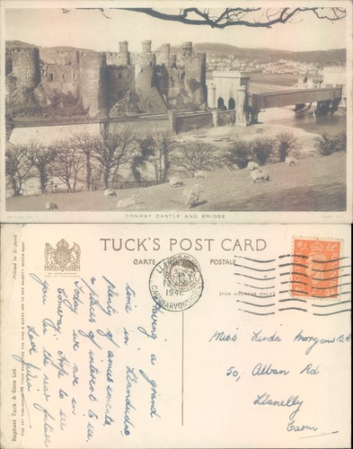 Conway castle and - bridge, conwy