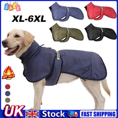 Large dog clothes - dog, warm