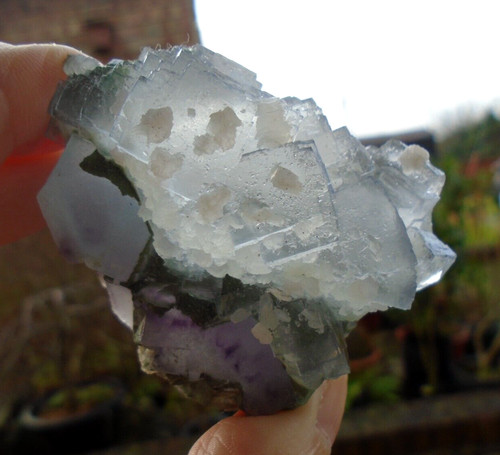 Purple very soft - clear, blue