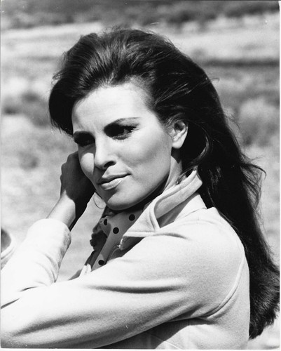 Raquel welch original - welch,