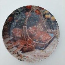 KNOWLES PLATE CATS: " FLOWER BED/ BRITISH SHORTHAIR" (21.5CM) BY AMY BRACKENBURY