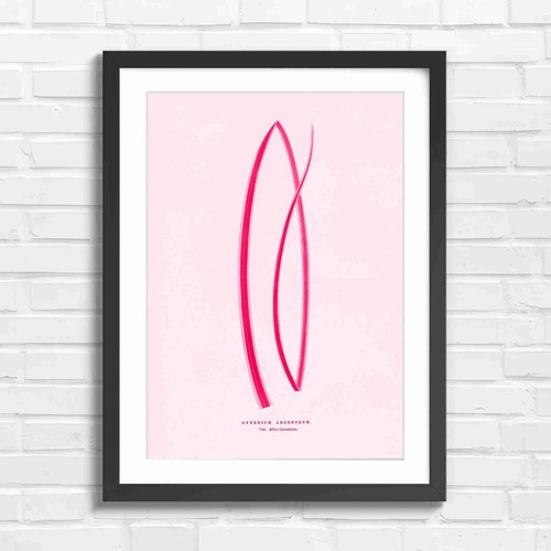 Vintage botanical gynrium - botanical,