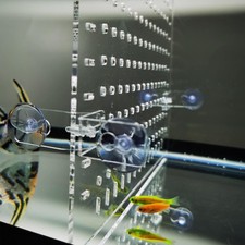 Clear Acrylic Fish Tank