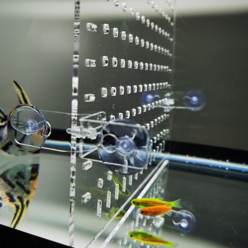 Clear acrylic fish tank - clear,