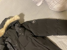Canada Goose with Black Badge