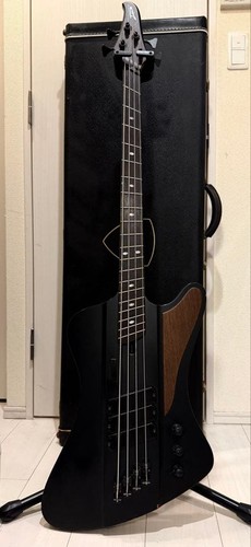 Dingwall bird electric - d-bird,