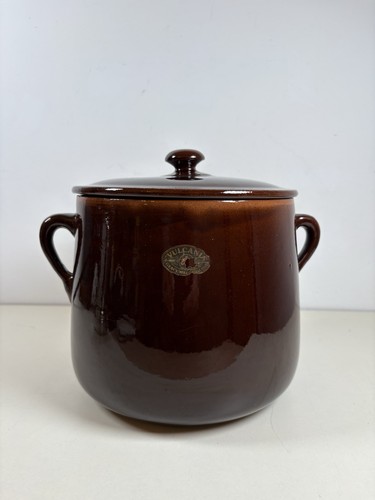 Vulcania cooking pot with - 6l,