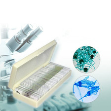 50pcs microbial bacterial - 50pcs,