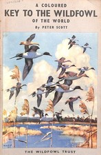Coloured Key to the Wildfowl