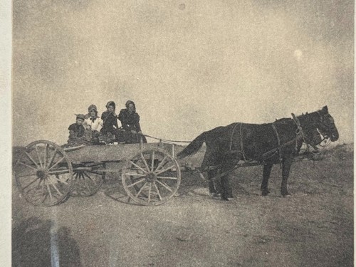 Antique horse drawn wagon - antique,