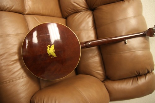 Washburn banjo string - banjo,,