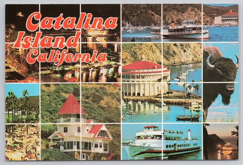 Catalina island california - island,