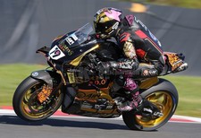 Storm Stacey BSB 2026 Bathams