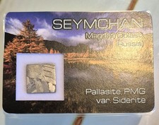 SEYMCHAN Pallasite PMG 2.69g