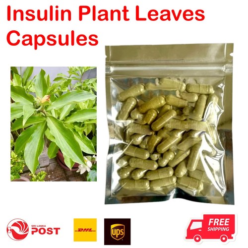 Natural insulin plant leaves - natural,