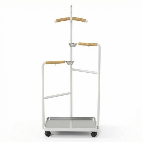 Bird playstand with - bird,