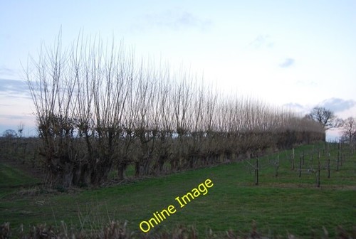 Photo 12x8 blind lane - photo,