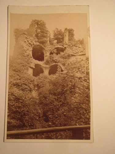 Heidelberg castle ruin cdv - heidelberg, ruin/cdv