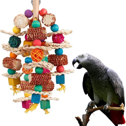 Parrot chewing toy accessories - parrot,