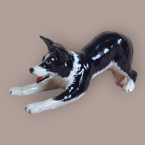 Northern rose dog border - northern,