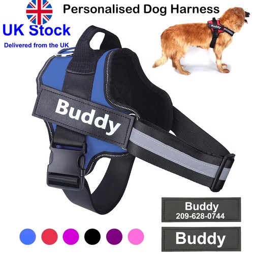 Personalized dog harness - personalized,