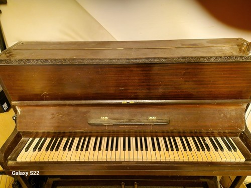 Alderson and brenthall upright - alderson,