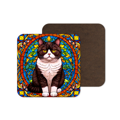 Exotic shorthair cat kitten - shorthair,