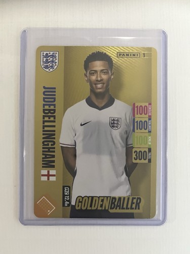 Panini adrenalyn england - adrenalyn,