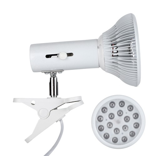Blue light therapy - therapy, lamp