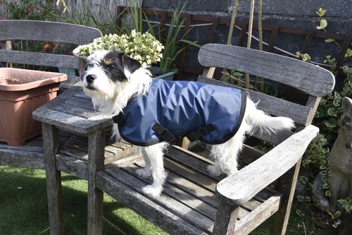 Lightweight waterproof dog - lightweight,