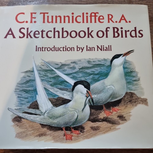 Vintage bird book sketchbook - bird,