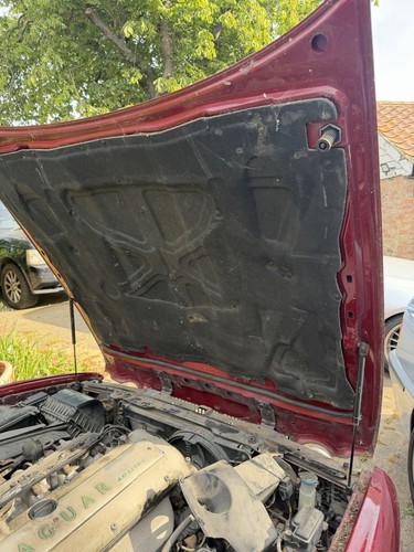 Jaguar daimler x300 bonnet - daimler,