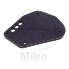 Air Filter Sponge Athena for