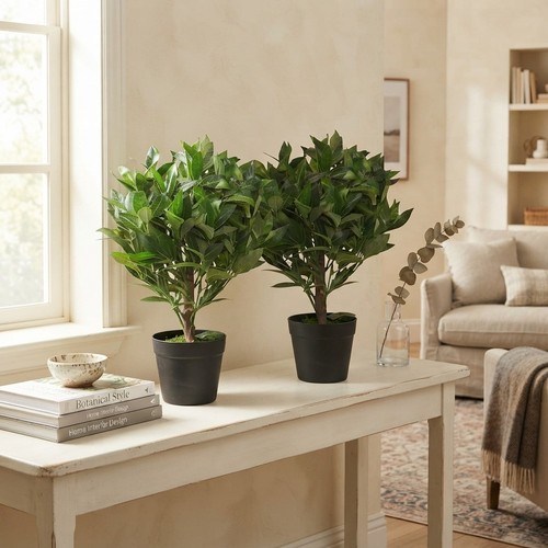 Elegant pair 50cm - pair,