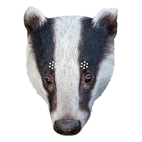 Badger cardboard face - face, mask