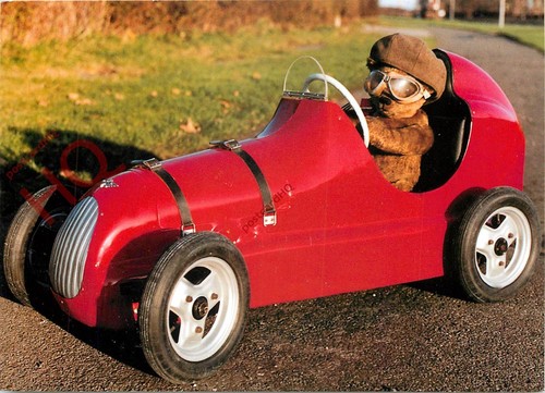 Picture postcard teddy - picture, bear