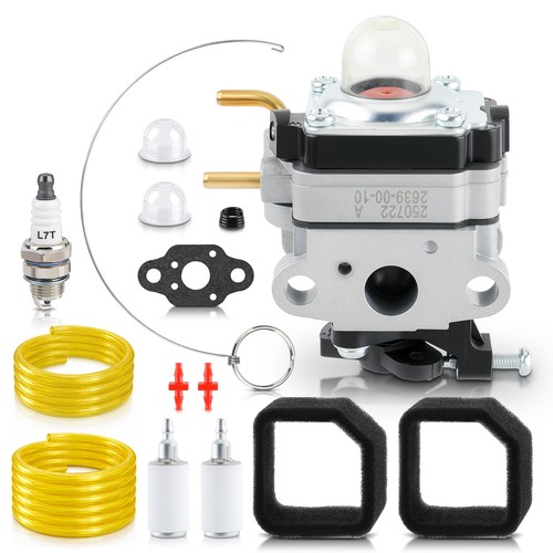 Oem ruixing carburetor for - ruixing,