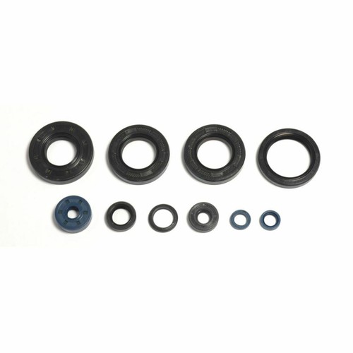 Motor seals shaft seals motor