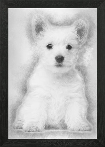 West highland terrier pupp - west,