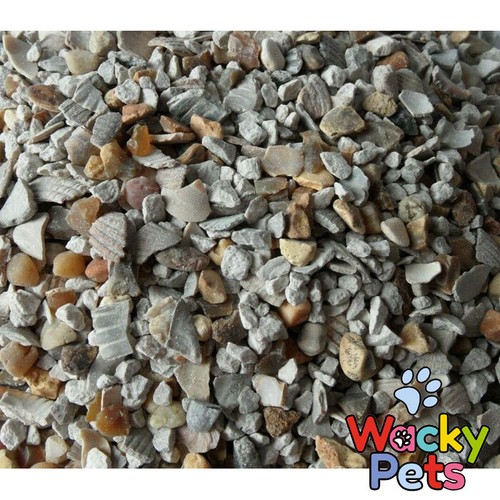 Hen chicken poultry grit - /,