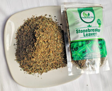 Dried Stone Breaker Leaves