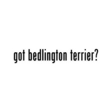 Got bedlington terrier vinyl - got,