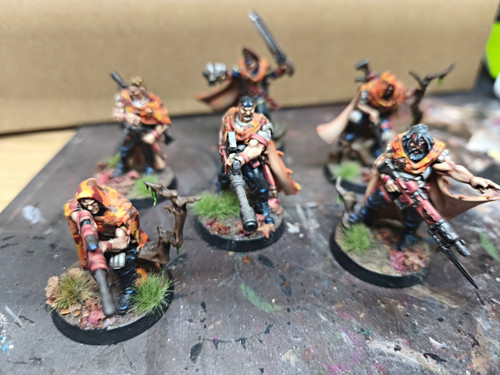 Gaunts ghosts fully painted - fully,