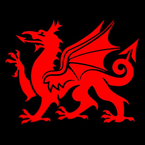 Wales welsh dragon cymru - dragon, vinyl