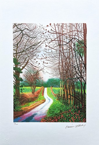 David hockney the arrival - david, of